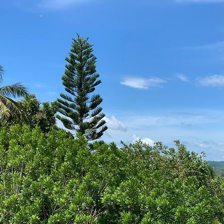 Thaproo Bay Hiriketiya Bed & Breakfast Dikwella Bagian luar foto