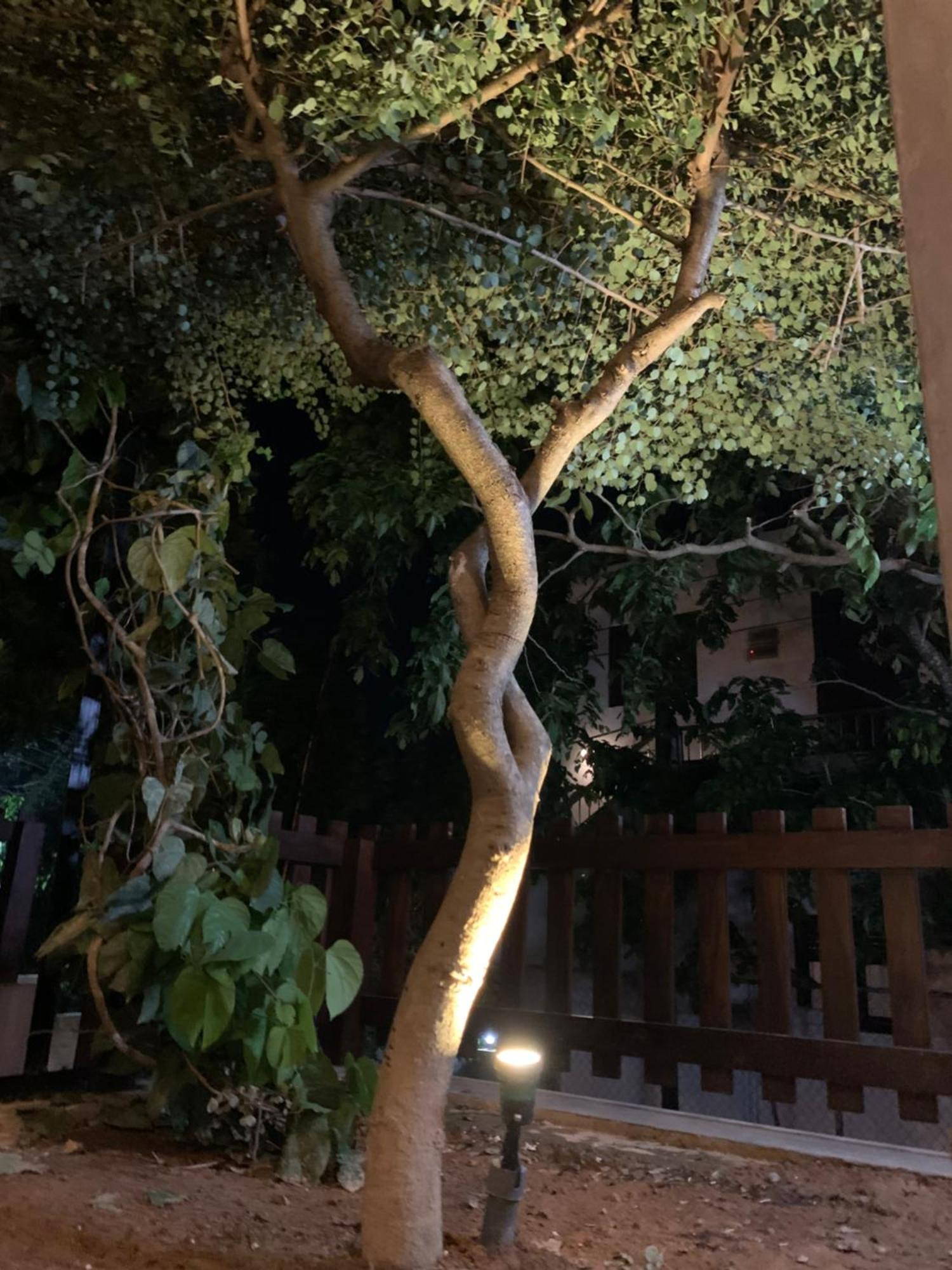 Thaproo Bay Hiriketiya Bed & Breakfast Dikwella Bagian luar foto