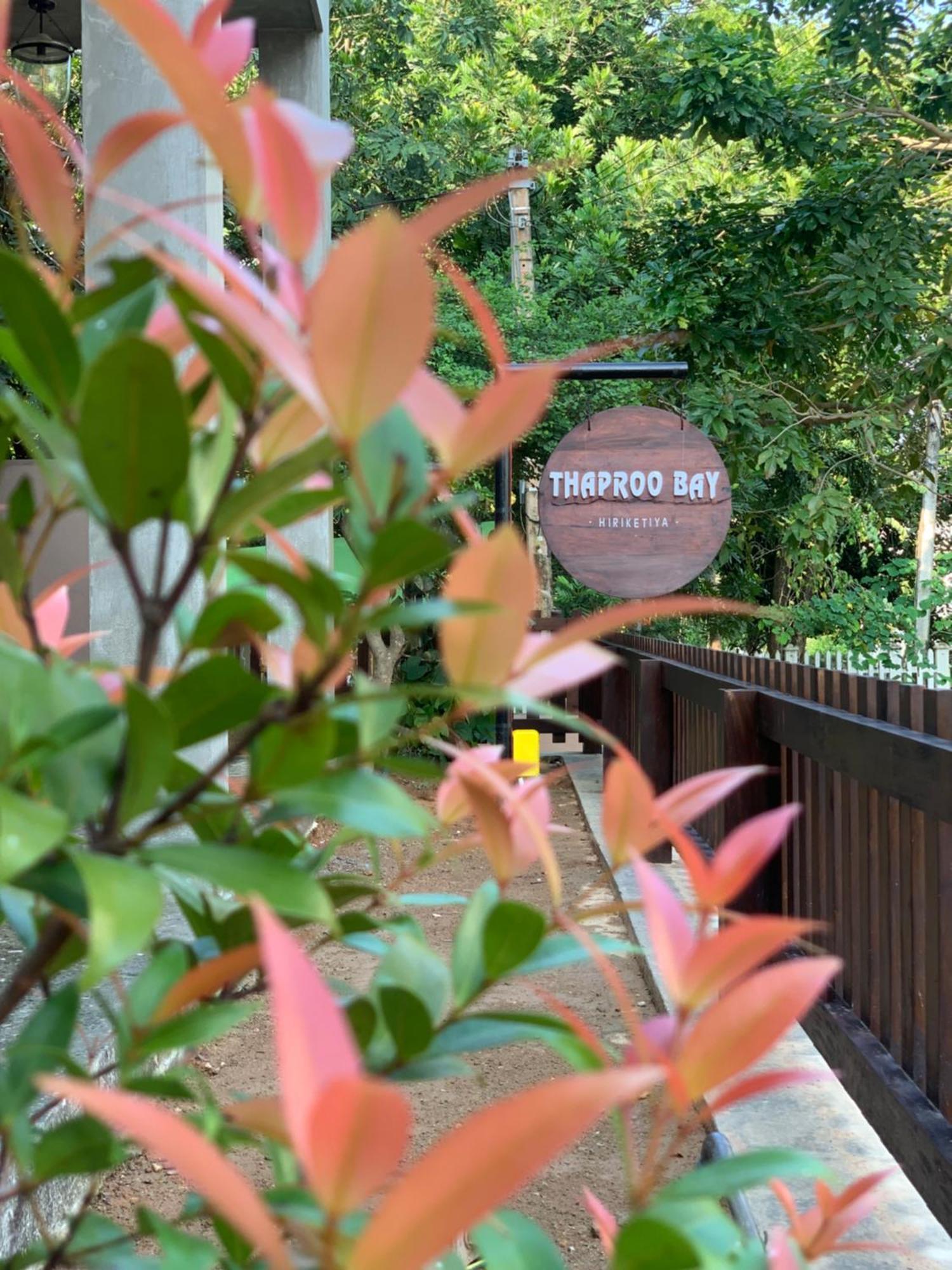Thaproo Bay Hiriketiya Bed & Breakfast Dikwella Bagian luar foto