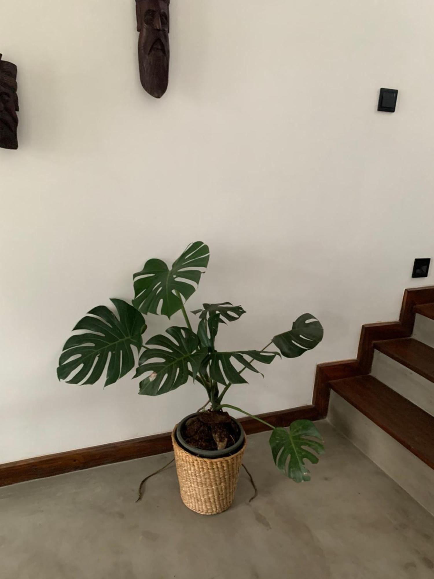 Thaproo Bay Hiriketiya Bed & Breakfast Dikwella Bagian luar foto